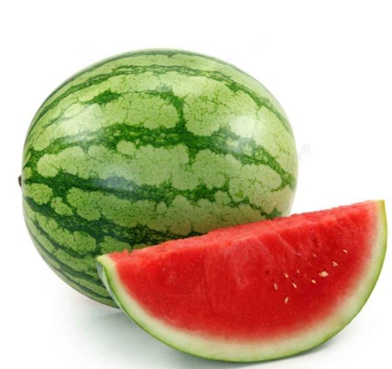 Watermelon seeds wholesaler